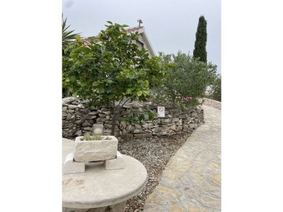 Holiday house KuÄ - Outdoor photo 28