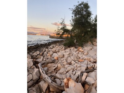 Holiday house KuÄ - Environment photo 32