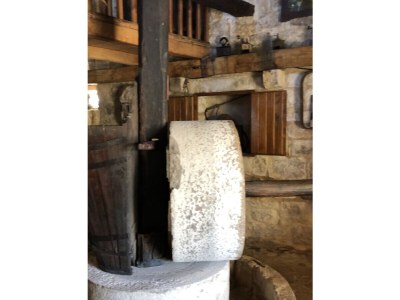 Holiday house KuÄ - Environment photo 33