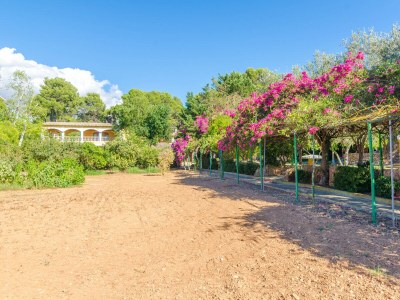 Villa Finca Son Pou - Outdoor photo 9