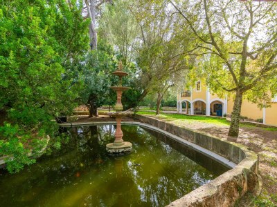Villa Finca Son Pou - Outdoor photo 25