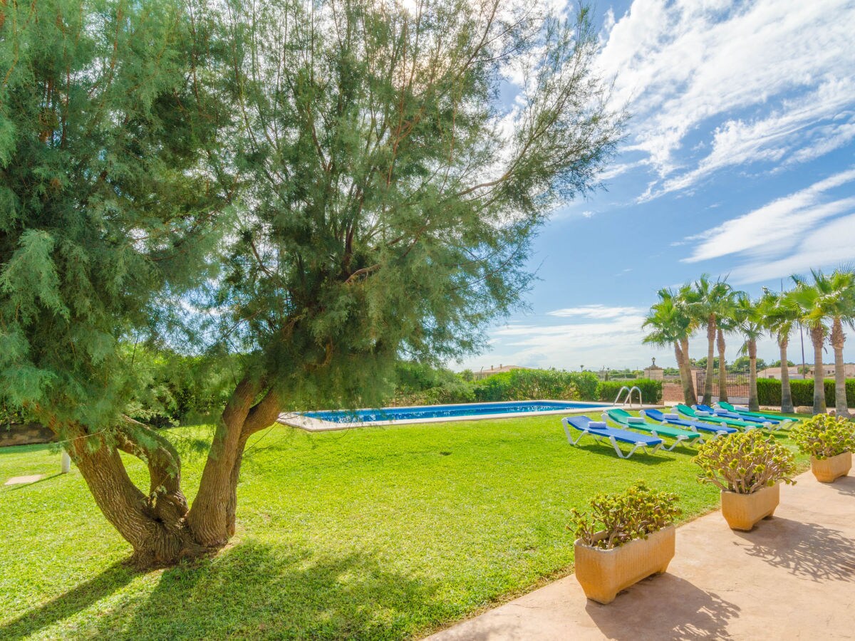 Villa Torre Marina (Alga Marina) - Outdoor photo 5