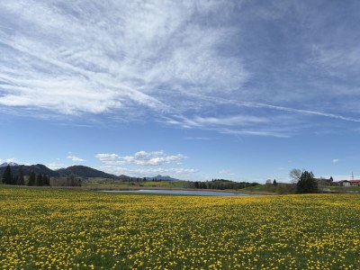 Holiday apartment I im Haus Bischoff - Environment photo 18