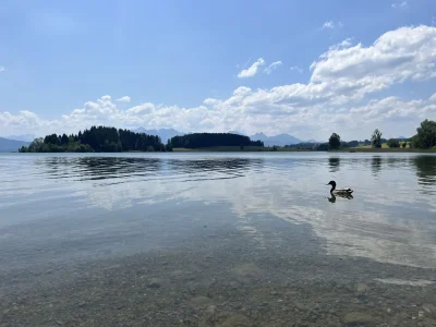 Holiday apartment I im Haus Bischoff - Environment photo 21