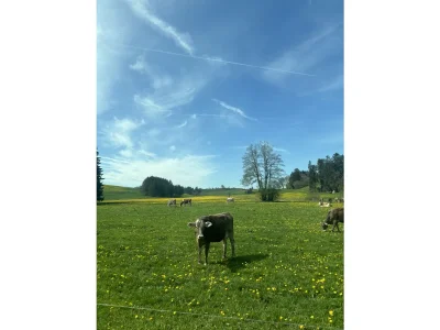 Holiday apartment I im Haus Bischoff - Environment photo 23