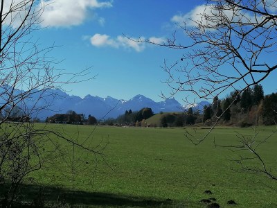 Holiday apartment I im Haus Bischoff - Environment photo 24