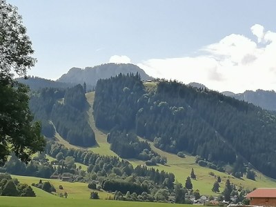 Holiday apartment I im Haus Bischoff - Environment photo 28