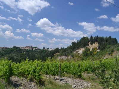 Holiday house Schönes Ferienhaus mit Pool im Herzen der Toskana - Environment photo 30