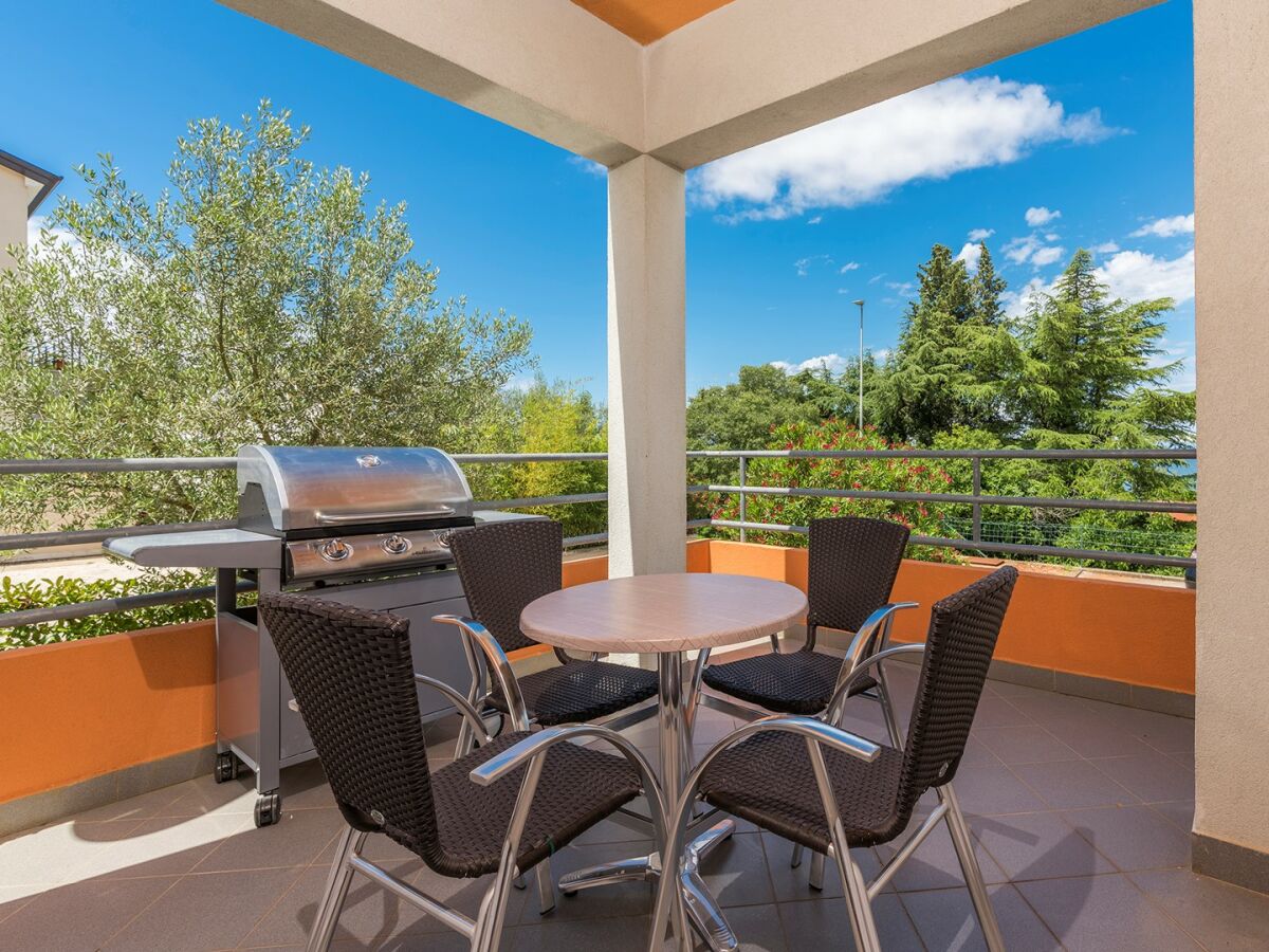 Apartment Raul Dajla