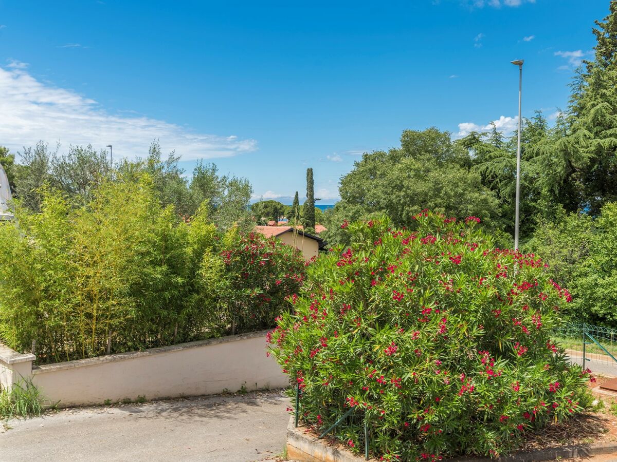 Apartment Raul Dajla - Outdoor photo 5