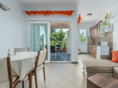 Apartment Raul Dajla - Features photo 13