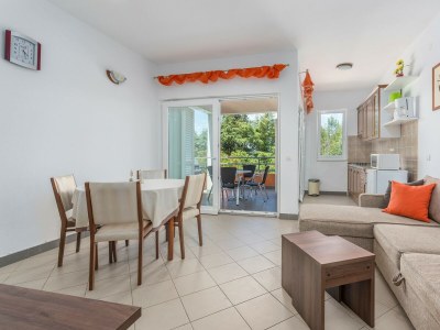 Apartment Raul Dajla - Features photo 20