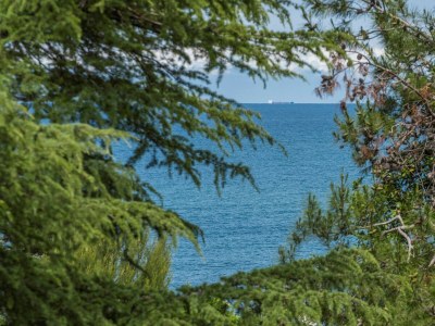 Apartment Raul Dajla - Environment photo 22