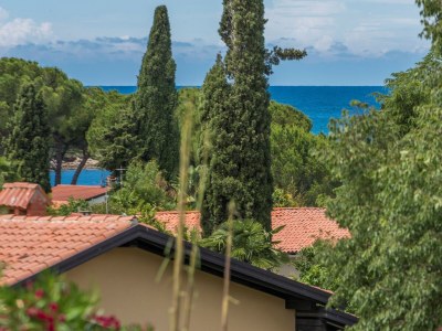 Apartment Raul Dajla - Environment photo 23