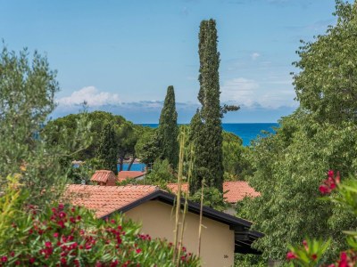 Apartment Raul Dajla - Environment photo 24