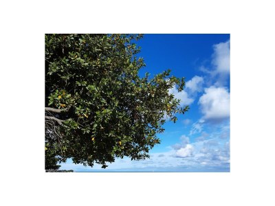 Apartment Raul Dajla - Environment photo 27