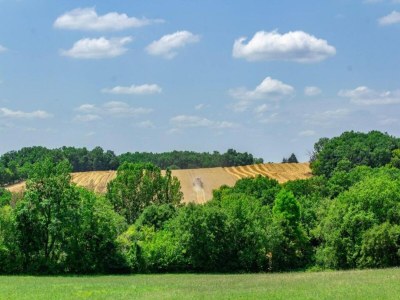 Holiday house Holiday Home Montaigu-de-Quercy Lake - Environment photo 19