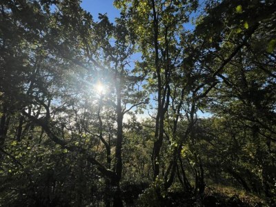Holiday house Holiday Home Montaigu-de-Quercy Lake - Environment photo 21