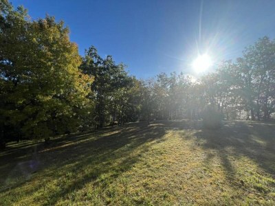 Holiday house Holiday Home Montaigu-de-Quercy Lake - Environment photo 22