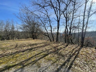 Holiday house Holiday Home Montaigu-de-Quercy Lake - Environment photo 32