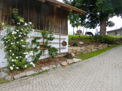 Farmhouse Winkler - Outdoor photo 6