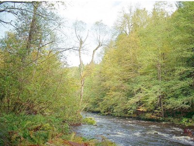 Farmhouse Winkler - Environment photo 22