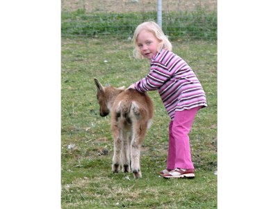 Farmhouse Winkler - Environment photo 24