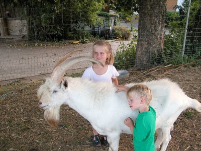 Farmhouse Winkler - Environment photo 25