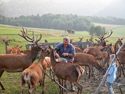 Farmhouse Winkler - Environment photo 26