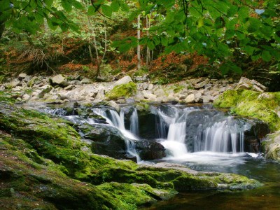 Farmhouse Winkler - Environment photo 28