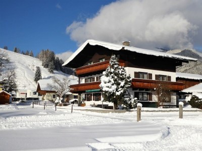 Apartment Wohnung in Maishofen nahe Skipisten - Apartment