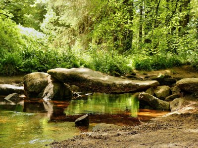 Holiday house Holiday Home in Huelgoat near Monts d'Arrée - Environment photo 34