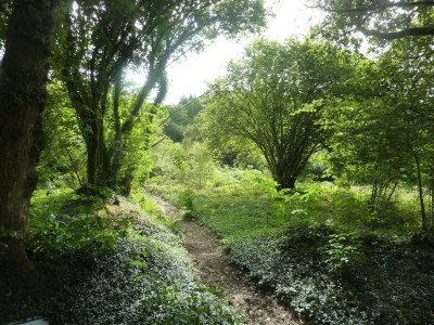 Holiday house Holiday Home in Huelgoat near Monts d'Arrée - Environment photo 36