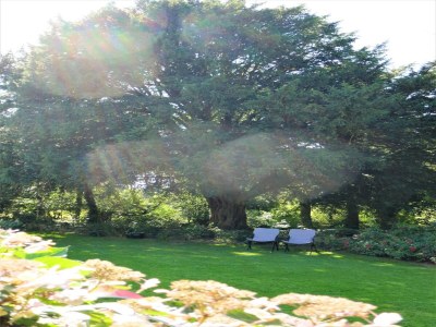 Holiday house Holiday Home in Huelgoat near Monts d'Arrée - Environment photo 37