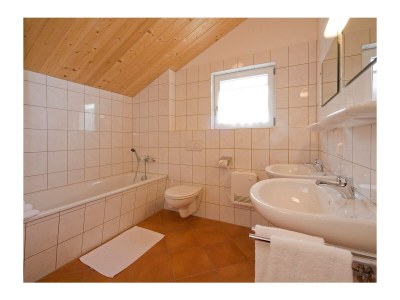 Chalet Chalet Dachstein - Features photo 9