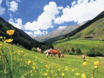 Chalet Chalet Dachstein - Environment photo 14