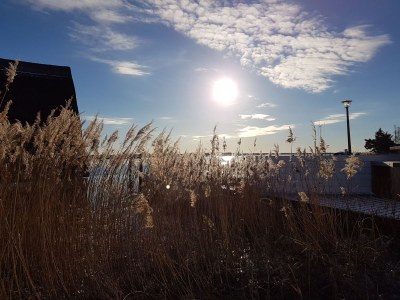 Holiday house Beach House 1 - Environment photo 21