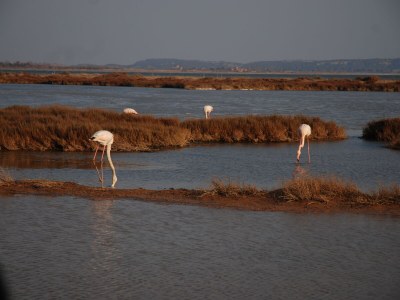 Holiday house "La Placette" in Bizanet - Environment photo 17