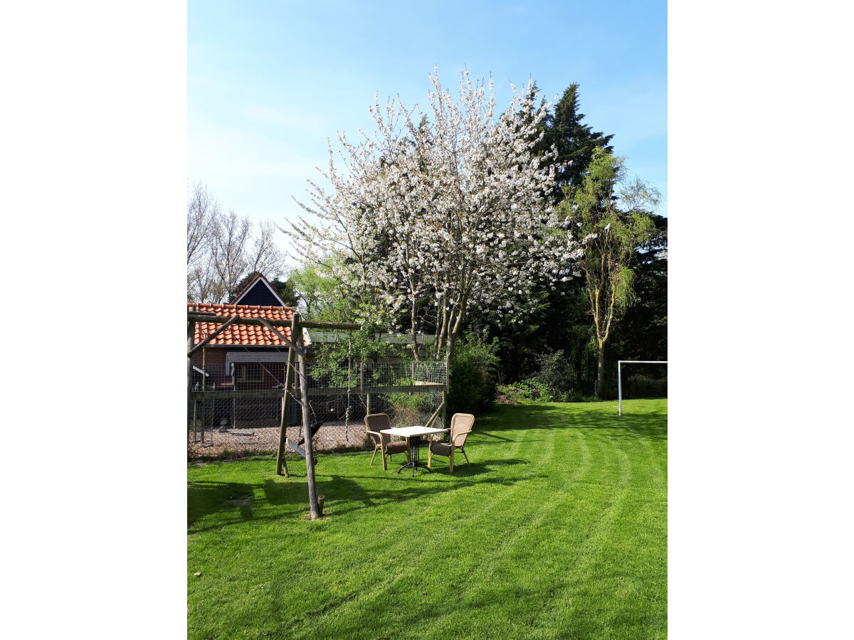 Holiday apartment 't Nest - Outdoor photo 4