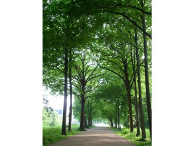 Holiday apartment 't Nest - Environment photo 26