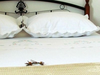 Holiday house Jakov direct on the Sea - Outdoor photo 16