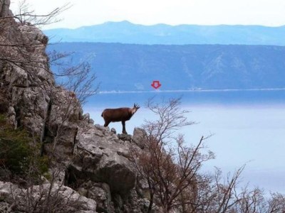 Holiday house Jakov direct on the Sea - Outdoor photo 40