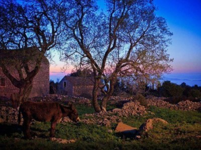 Holiday house Jakov direct on the Sea - Document photo 42