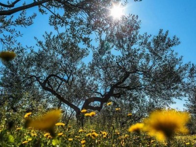 Holiday house Jakov direct on the Sea - Document photo 43