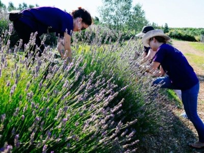 Holiday house Jakov direct on the Sea - Document photo 46