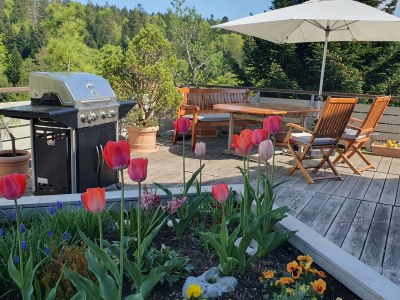 Holiday apartment Landhaus-Apartment Feldbergblick - Outdoor photo 4