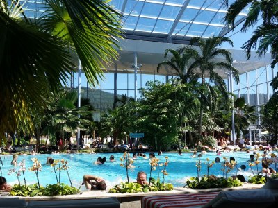 Holiday apartment Landhaus-Apartment Feldbergblick - Environment photo 31