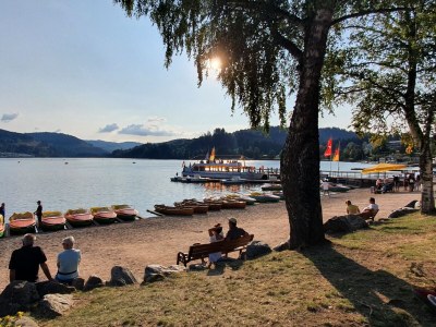 Holiday apartment Landhaus-Apartment Feldbergblick - Environment photo 35