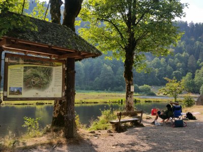 Holiday apartment Landhaus-Apartment Feldbergblick - Environment photo 37