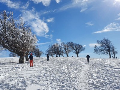 Holiday apartment Landhaus-Apartment Feldbergblick - Environment photo 38